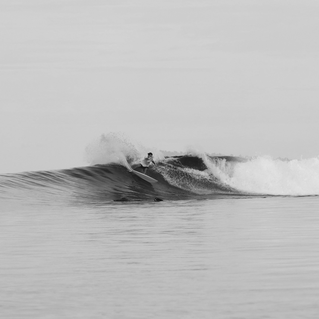 surf