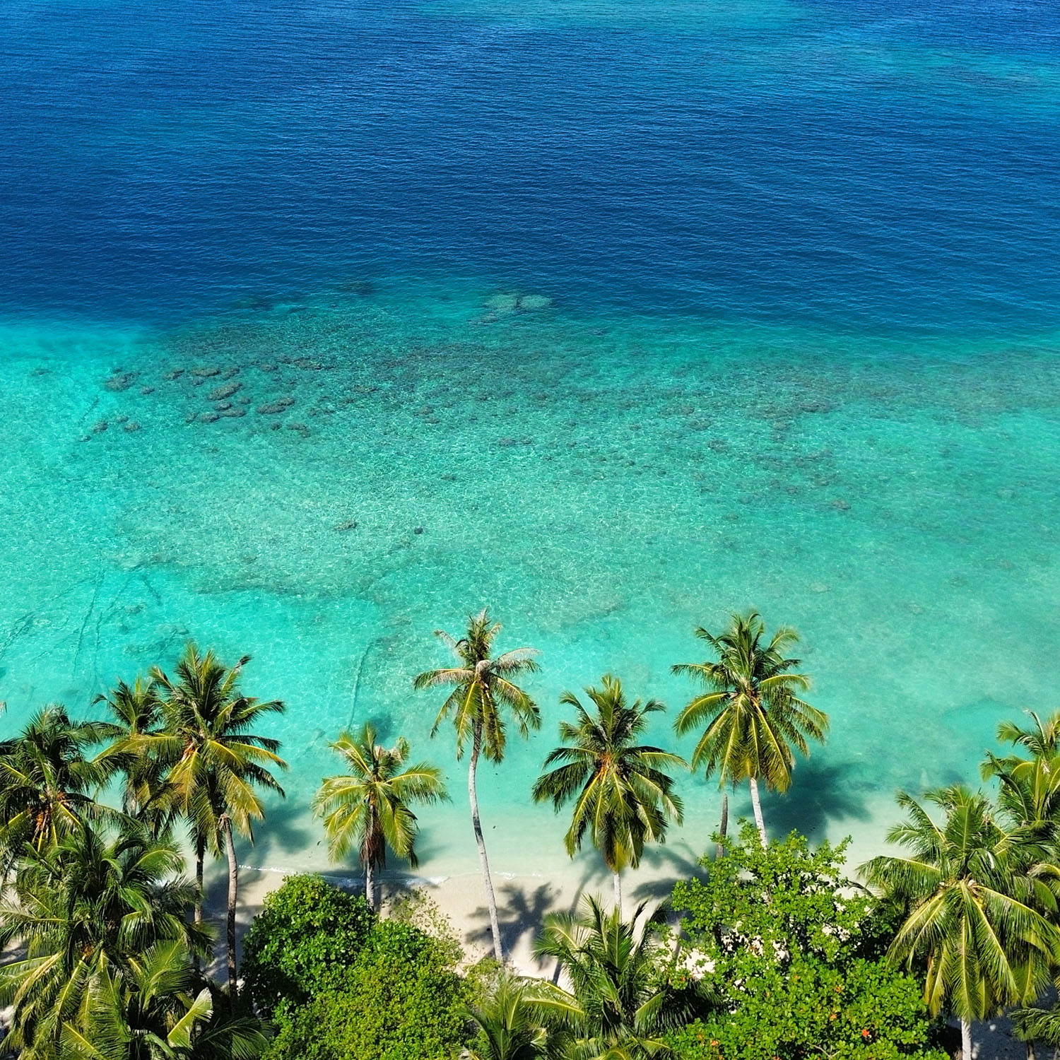mentawai-view