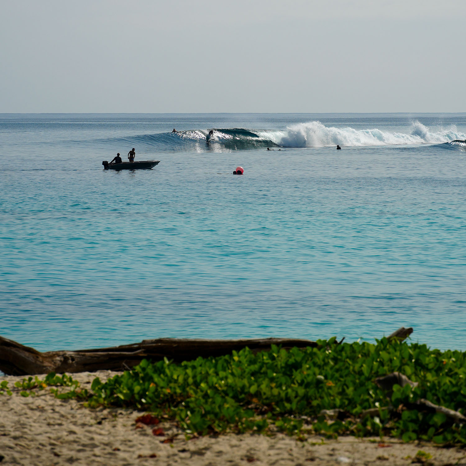 mentawai-wave
